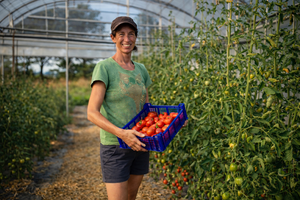 Une maraichère portant une caisse de tomate